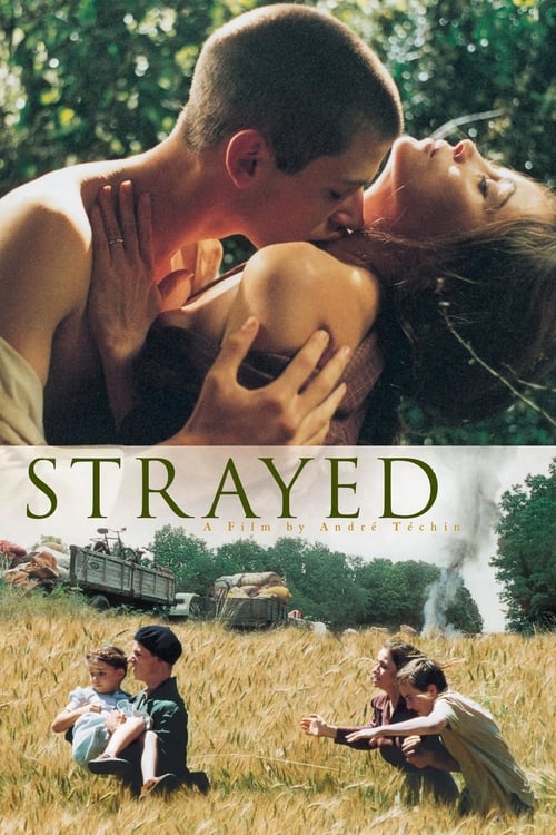 Largescale poster for Strayed