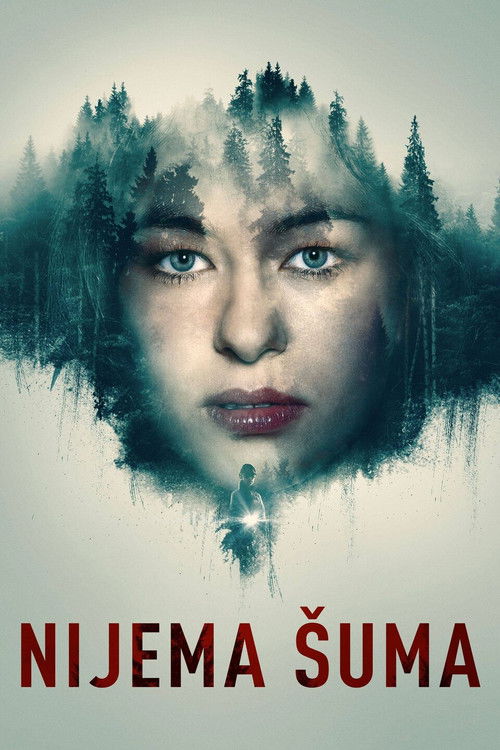 The Silent Forest poster