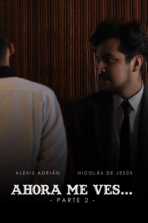 Ahora Me Ves... - Parte 2 movie poster player