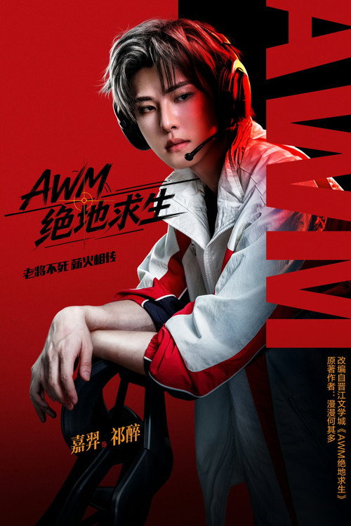 AWM绝地求生