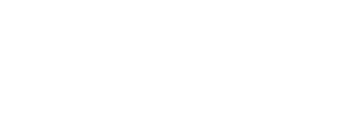 Rallybrudar