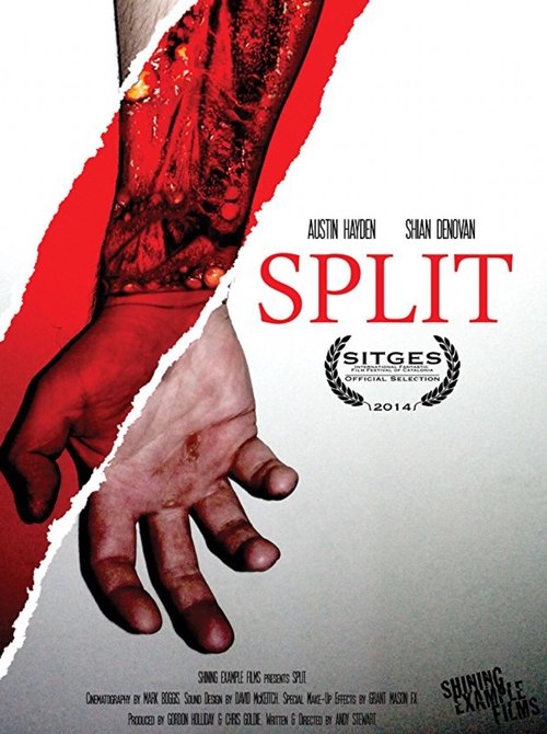 Split movie poster player