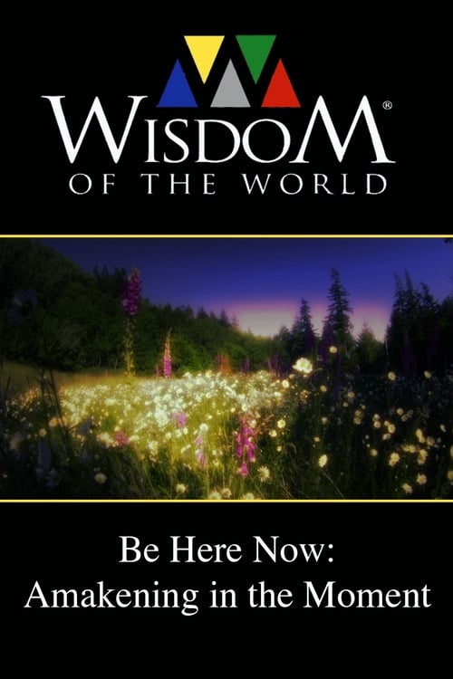 Be Here Now: Awakening In the Moment poster