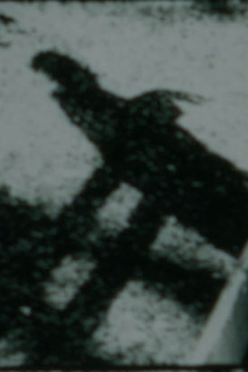 Black Vision movie poster player