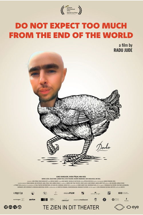 Do Not Expect Too Much from the End of the World poster