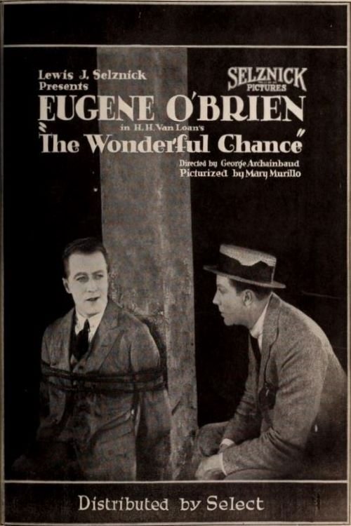 The Wonderful Chance movie poster player