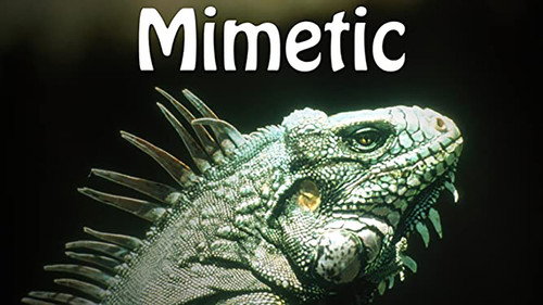 Mimetic Backdrop Blur