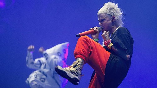Die Antwoord