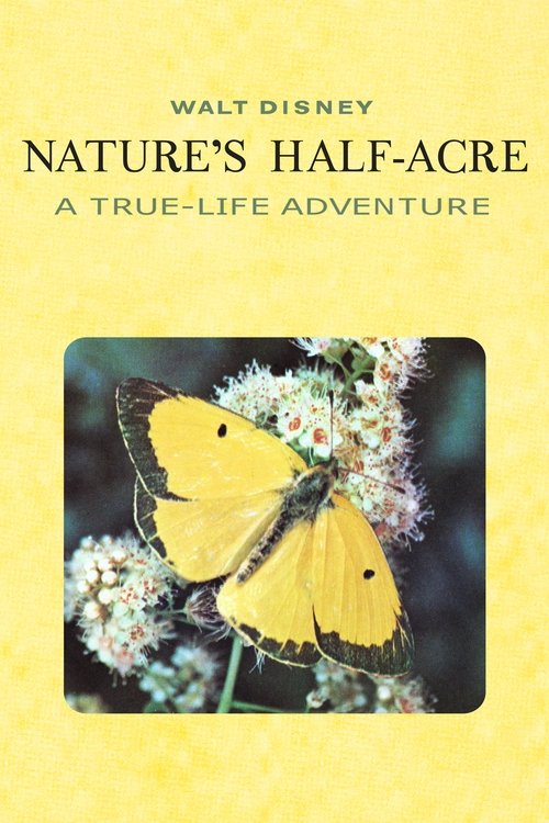 Nature's Half Acre movie poster player