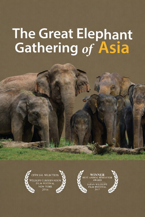 The Great Elephant Gathering Of Asia
