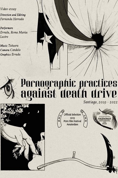 Pornographic practices against death drive poster