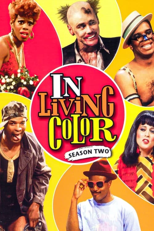 Póster de la temporada 2 de la serie In Living Color