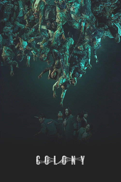 Colony