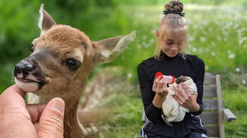 Rakkaudesta villieläimiin