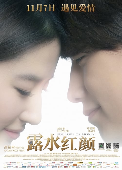 Poster 露水紅顏 2014