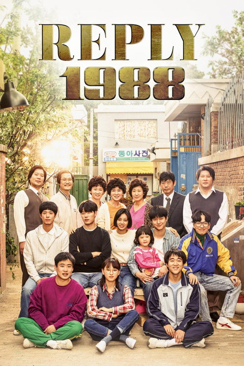 Affiche de Reply 1988 saison 1