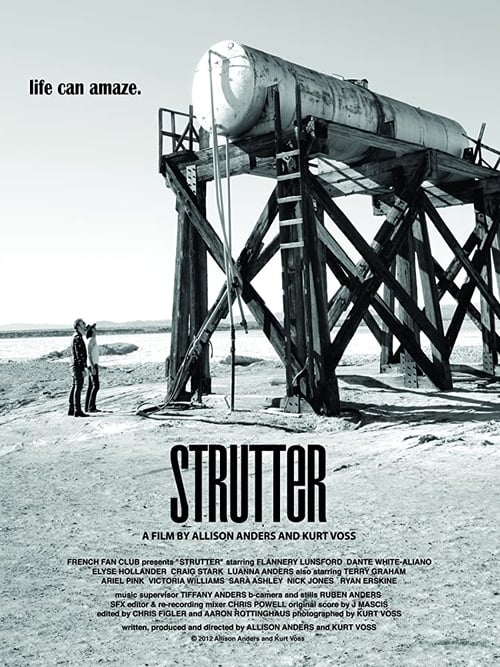 Strutter 2013