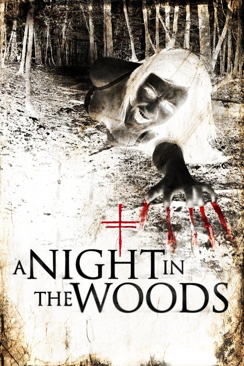 A Night in the Woods poster