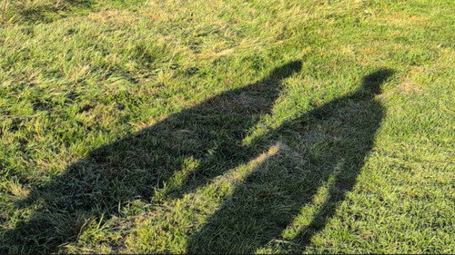CRONY Bild 2