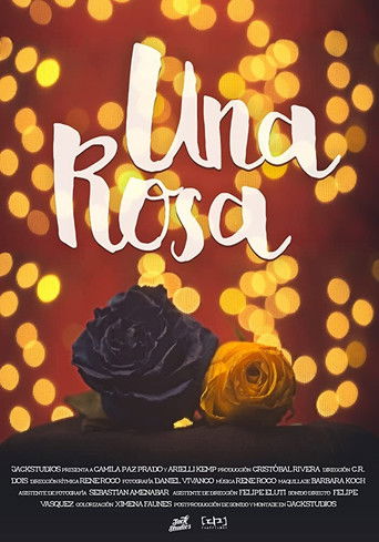 Una rosa