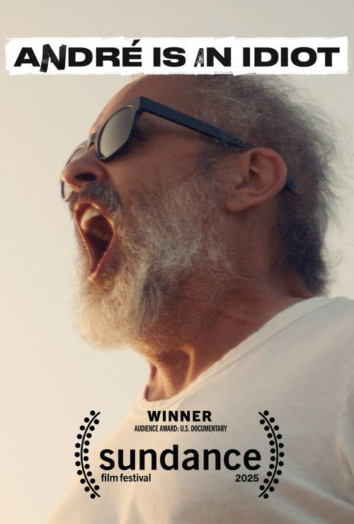 André Is an Idiot poster