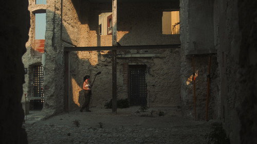 To Dig Up a Rosebush