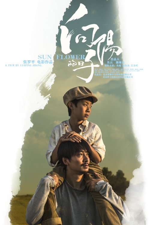 Sun Flower poster