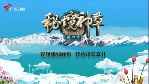 秘境神草 Bild 2