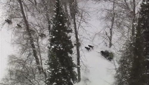 Surviving the Alaska Range