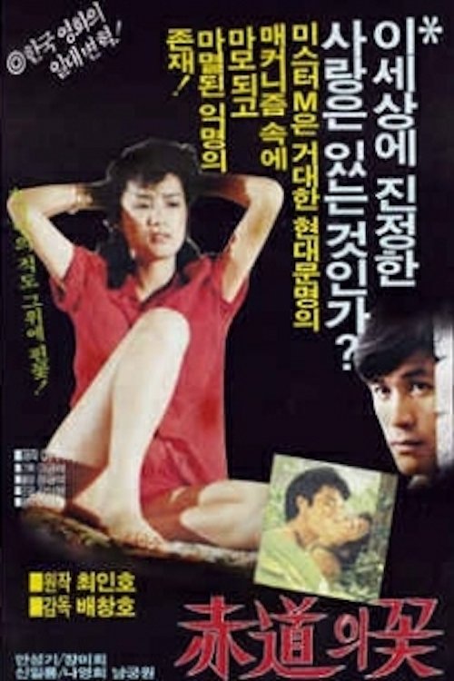 적도의 꽃 movie poster player