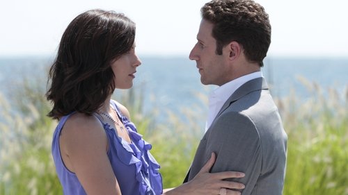 Poster della serie Royal Pains