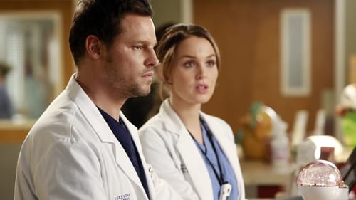 Grey's Anatomy, S10E15 - (2014)