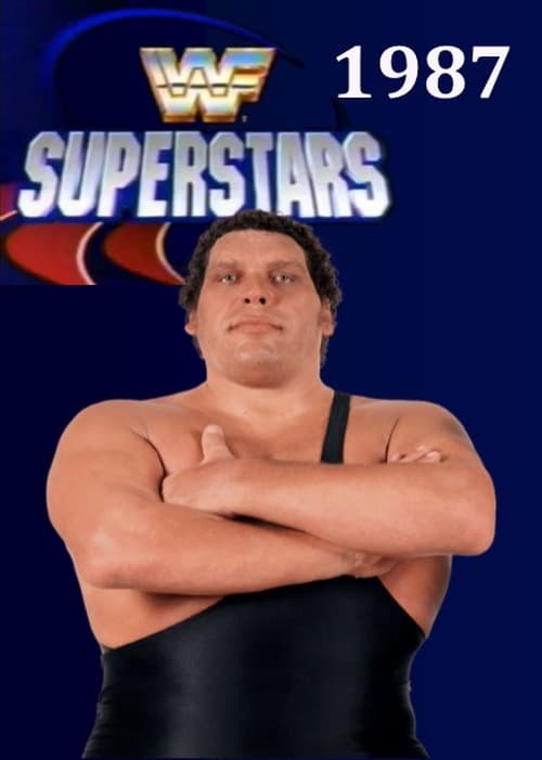 Ver temporada 2 de WWF Superstars Of Wrestling Póster de la temporada 2 de la serie WWF Superstars Of Wrestling