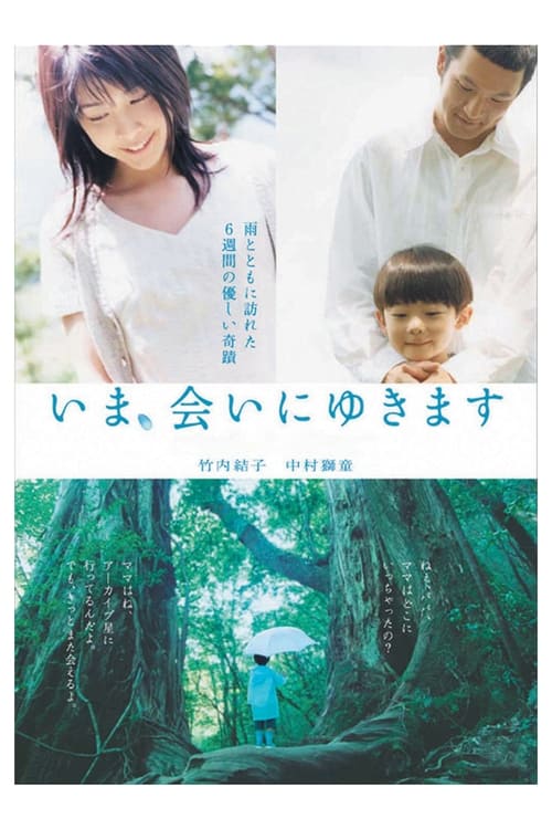 いま、会いにゆきます (2004) poster