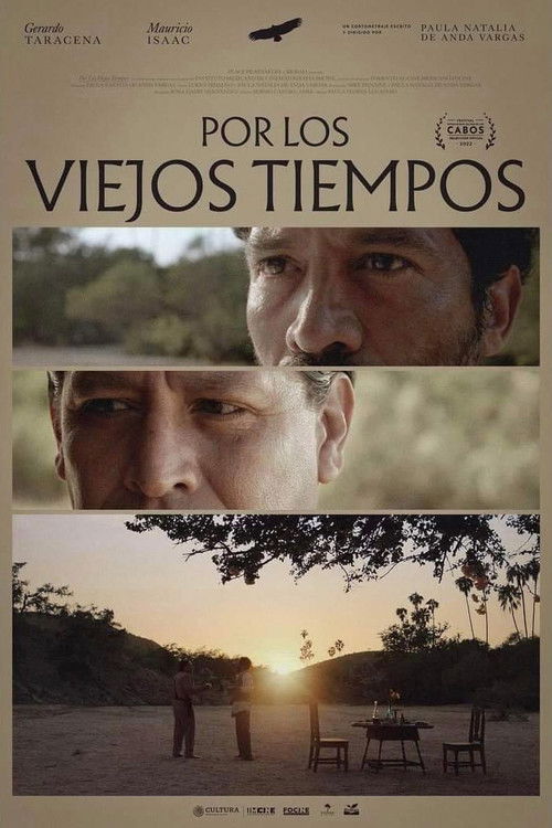 For Old Times' Sake poster