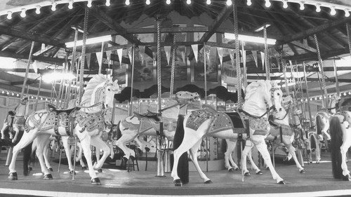 A Legacy Of Memories: Silver Beach Amusement Park Bild 2