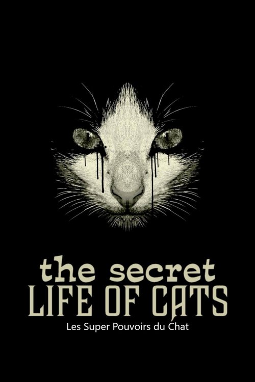 Les Super Pouvoirs du chat Poster