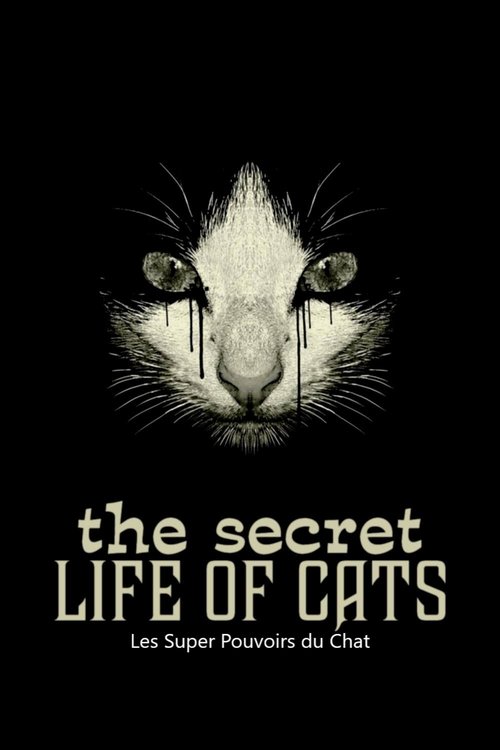 The Secret Life of Cats poster