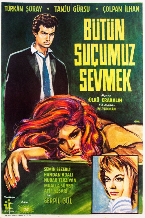 Bütün Suçumuz Sevmek poster