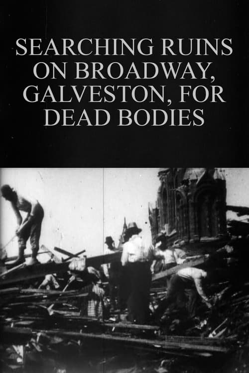 Searching Ruins on Broadway, Galveston, for Dead Bodies Movie Poster Image