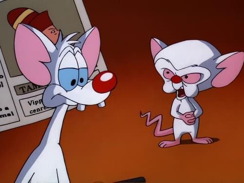 Poster della serie Pinky and the Brain