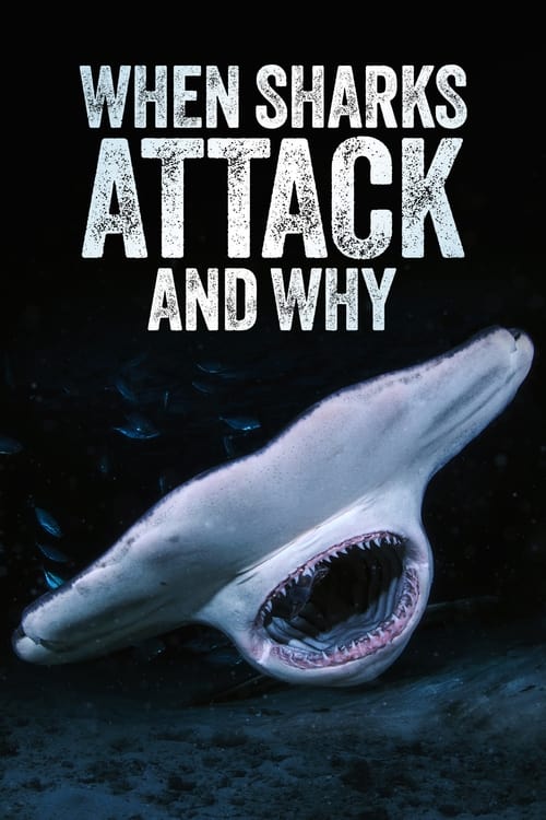 Where to stream When Sharks Attack... and Why Season 1