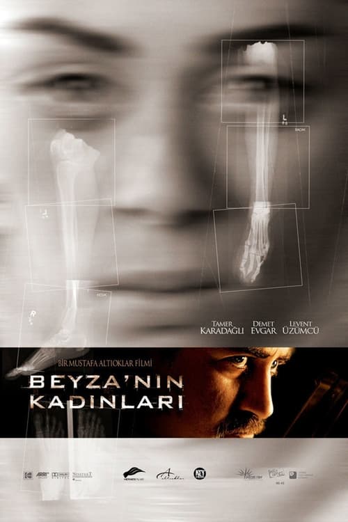 Poster Beyza'nın Kadınları 2006