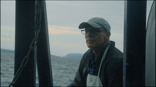 Caught in the net — Backdrops 10