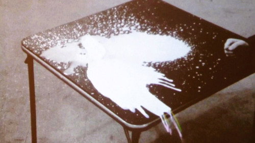 A Glass of Milk Backdrop Blur