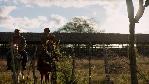 O Sertão Vai Vir ao Mar