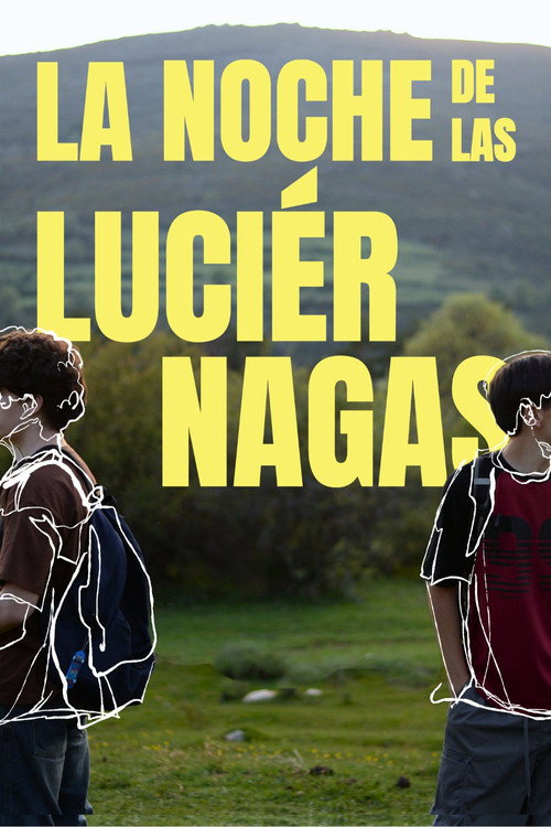 La noche de las luciérnagas poster