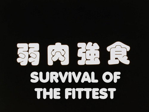 Survival of the Fittest