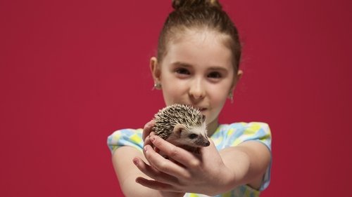 Ultimate Pet Lover
