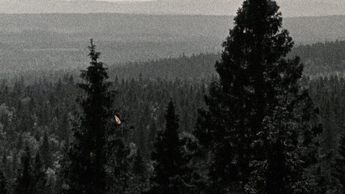 The Fleeting Horizon